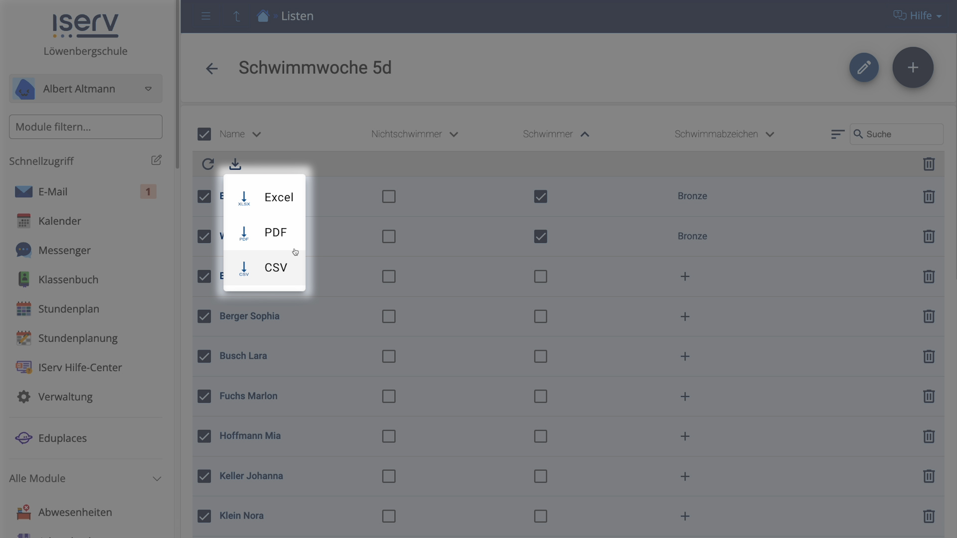 Listen Export Auswahl